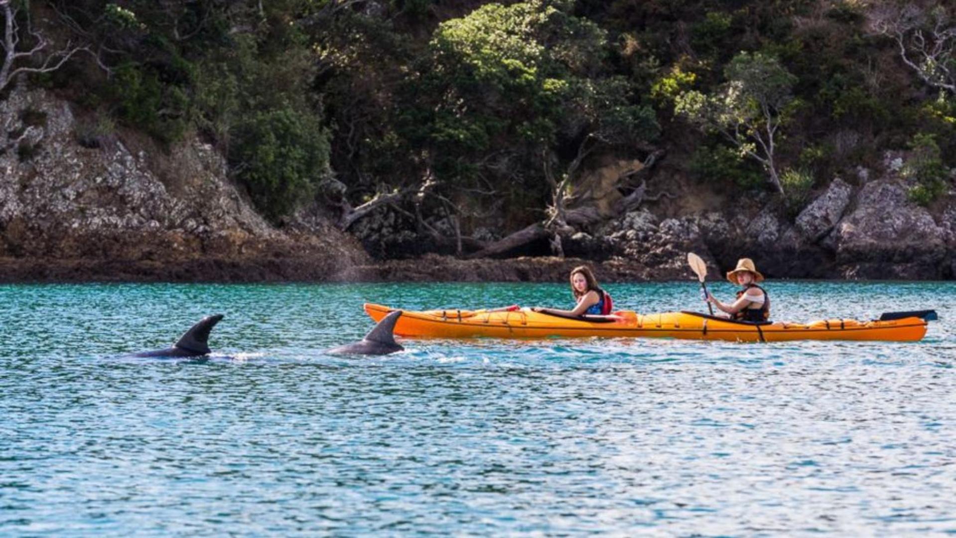 Waiheke Backpackers Hostel Onetangi Kültér fotó